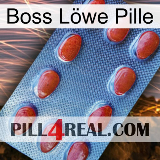 Boss Löwe Pille 06